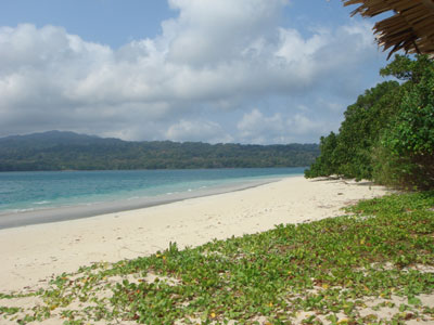 Ujung Kulon - Private Beach at Peucang