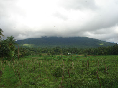 Ujung Kulon - Taman Jaya